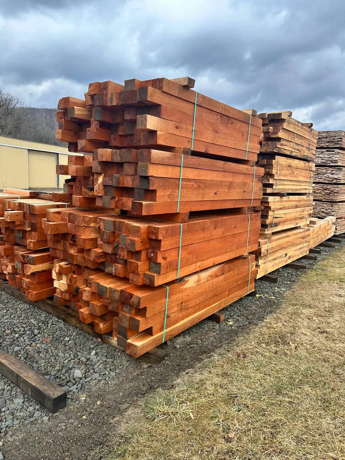 Cedar posts and beams staged for project — Buffalo NY